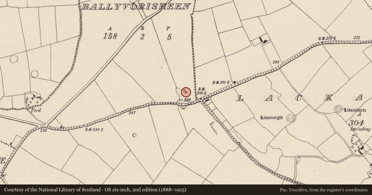 Ordnance Survey six-inch map, 2nd edition (1888–1915) covering the location of Kiln - lime, Ballyvorisheen, County Cork, with a pin at the register's coordinates