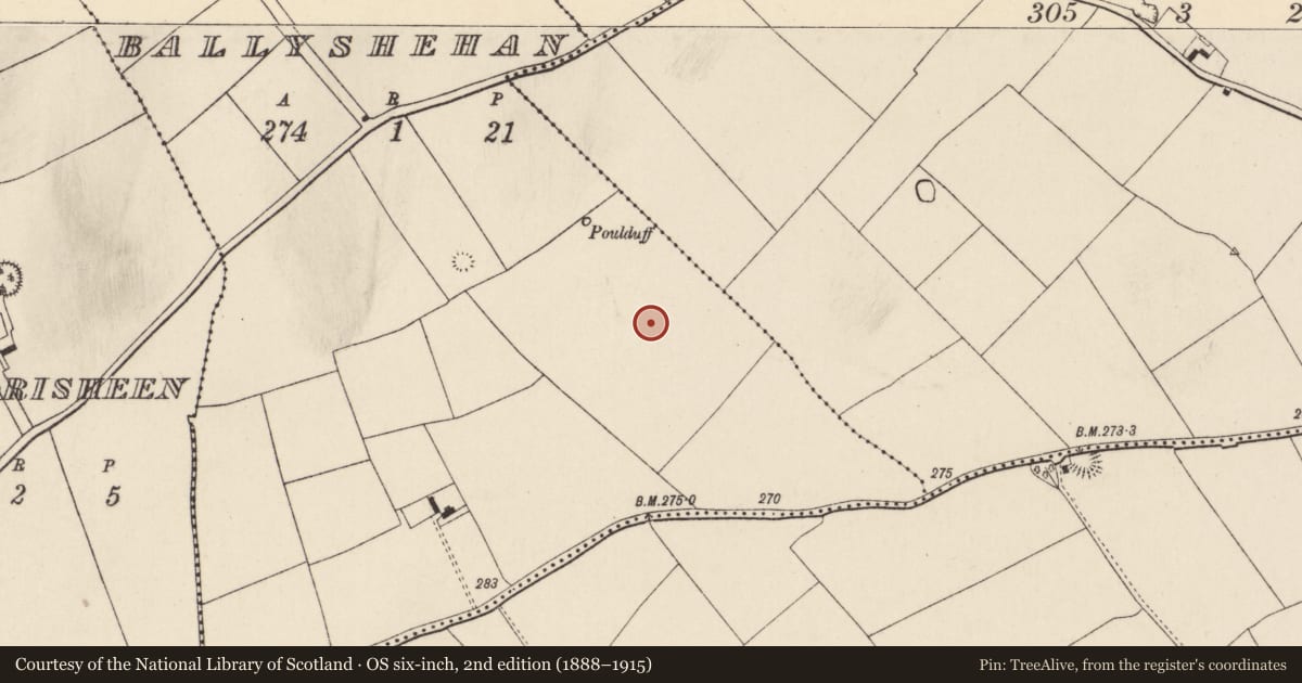 Ordnance Survey six-inch map, 2nd edition (1888–1915) covering the location of Quarry, Ballyshehan, County Cork, with a pin at the register's coordinates
