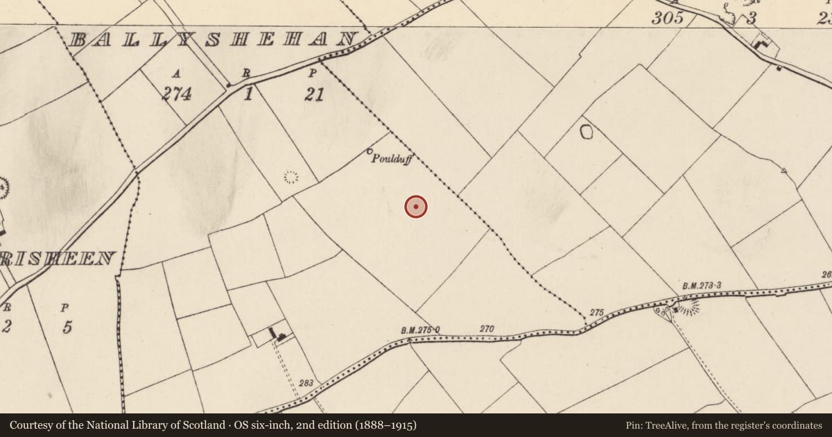 Ordnance Survey six-inch map, 2nd edition (1888–1915) covering the location of Quarry, Ballyshehan, County Cork, with a pin at the register's coordinates
