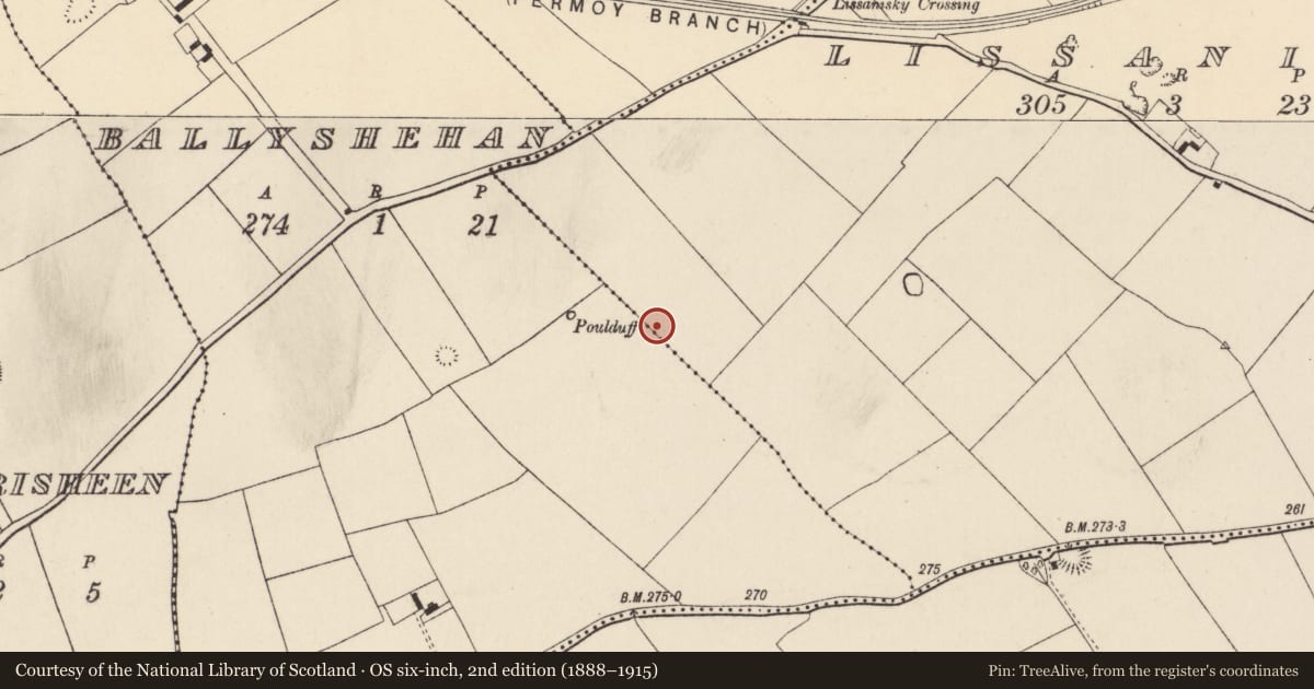 Ordnance Survey six-inch map, 2nd edition (1888–1915) covering the location of Ringfort - rath, Ballyshehan, Lissanisky, County Cork, with a pin at the register's coordinates