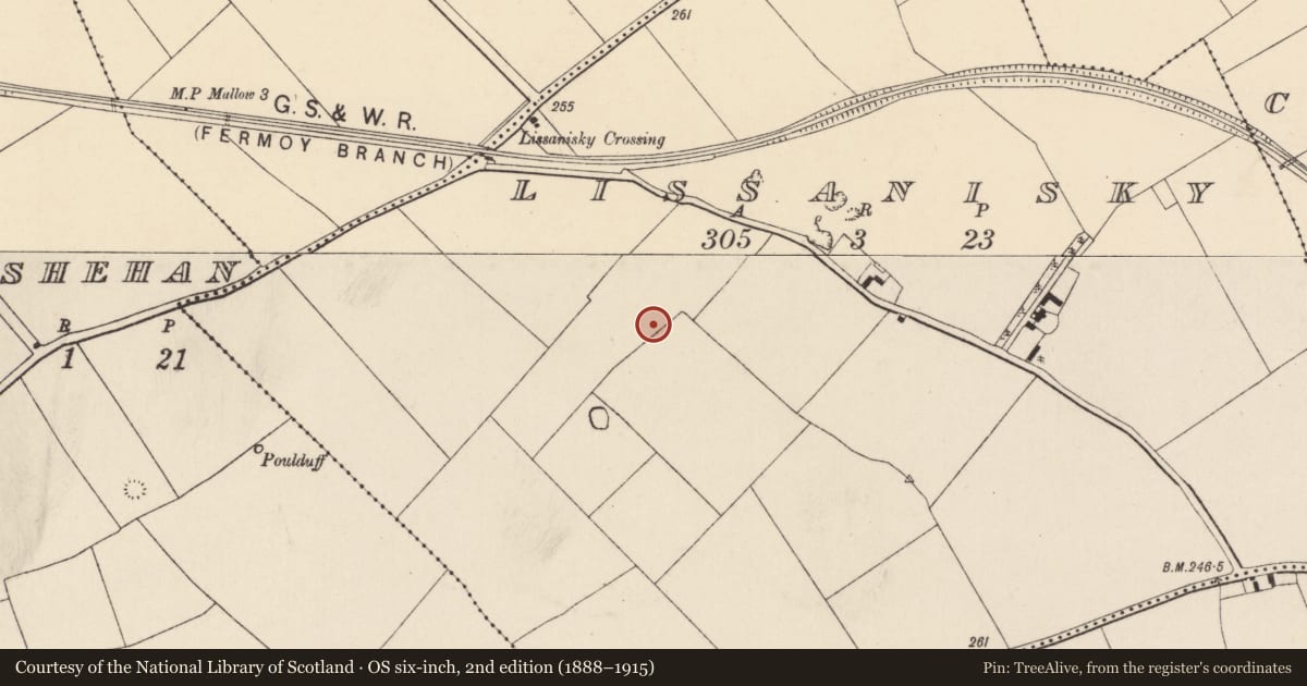 Ordnance Survey six-inch map, 2nd edition (1888–1915) covering the location of Souterrain, Lissanisky, County Cork, with a pin at the register's coordinates