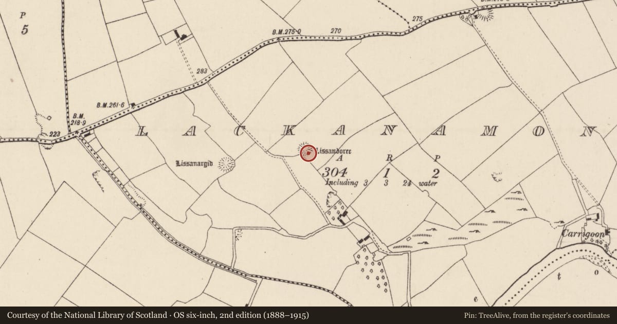 Ordnance Survey six-inch map, 2nd edition (1888–1915) covering the location of Ringfort - rath, Lackanamona, County Cork, with a pin at the register's coordinates