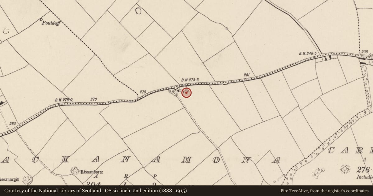 Ordnance Survey six-inch map, 2nd edition (1888–1915) covering the location of Quarry, Lackanamona, County Cork, with a pin at the register's coordinates