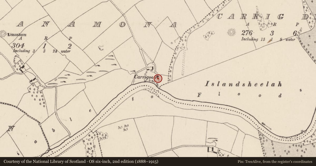 Ordnance Survey six-inch map, 2nd edition (1888–1915) covering the location of Country house, Lackanamona, County Cork, with a pin at the register's coordinates