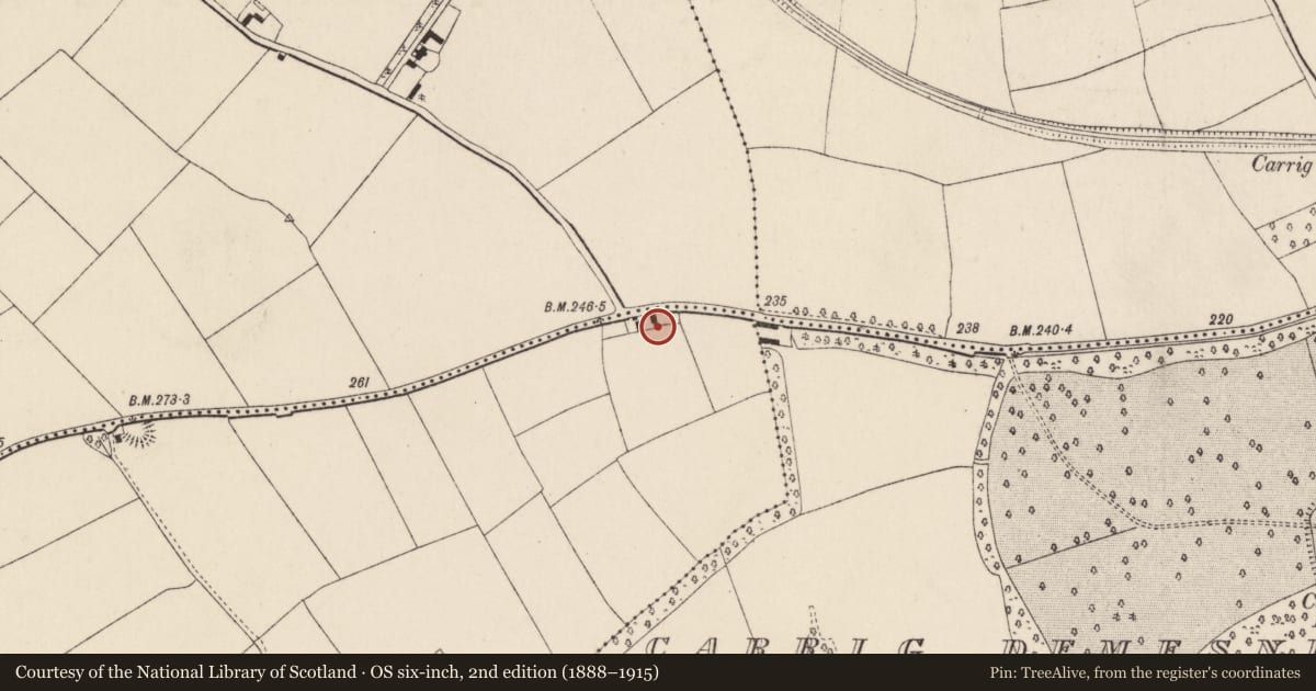 Ordnance Survey six-inch map, 2nd edition (1888–1915) covering the location of House - vernacular house, Lackanamona, County Cork, with a pin at the register's coordinates