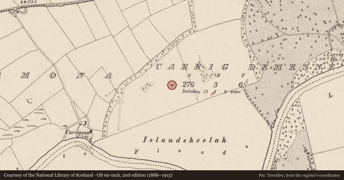Ordnance Survey six-inch map, 2nd edition (1888–1915) covering the location of Ringfort - rath, Carrig Demesne, County Cork, with a pin at the register's coordinates