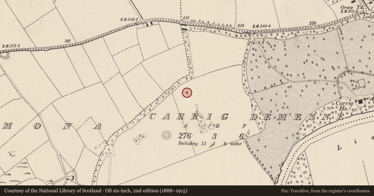 Ordnance Survey six-inch map, 2nd edition (1888–1915) covering the location of Ringfort - rath, Carrig Demesne, County Cork, with a pin at the register's coordinates
