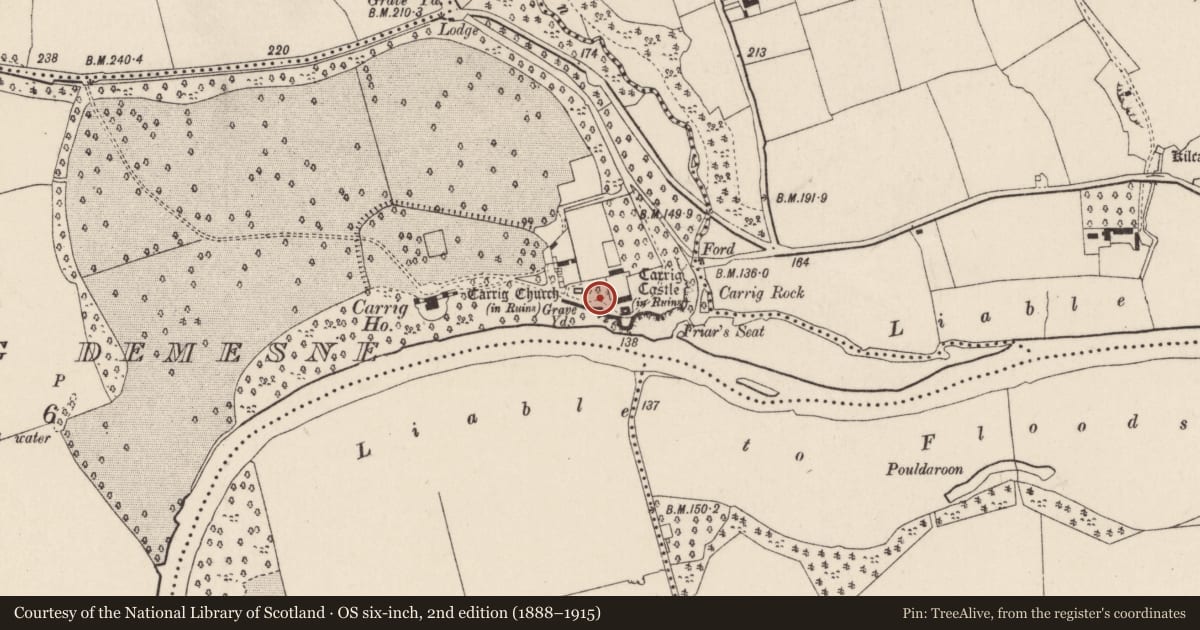 Ordnance Survey six-inch map, 2nd edition (1888–1915) covering the location of Graveyard, Carrig Demesne, County Cork, with a pin at the register's coordinates