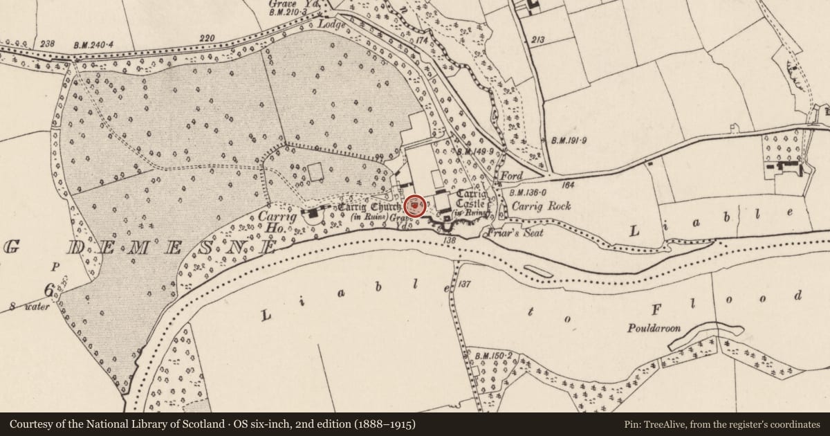 Ordnance Survey six-inch map, 2nd edition (1888–1915) covering the location of Church, Carrig Demesne, County Cork, with a pin at the register's coordinates