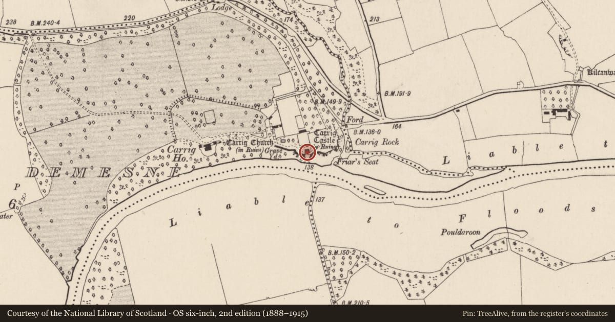 Ordnance Survey six-inch map, 2nd edition (1888–1915) covering the location of Castle - tower house, Carrig Demesne, County Cork, with a pin at the register's coordinates