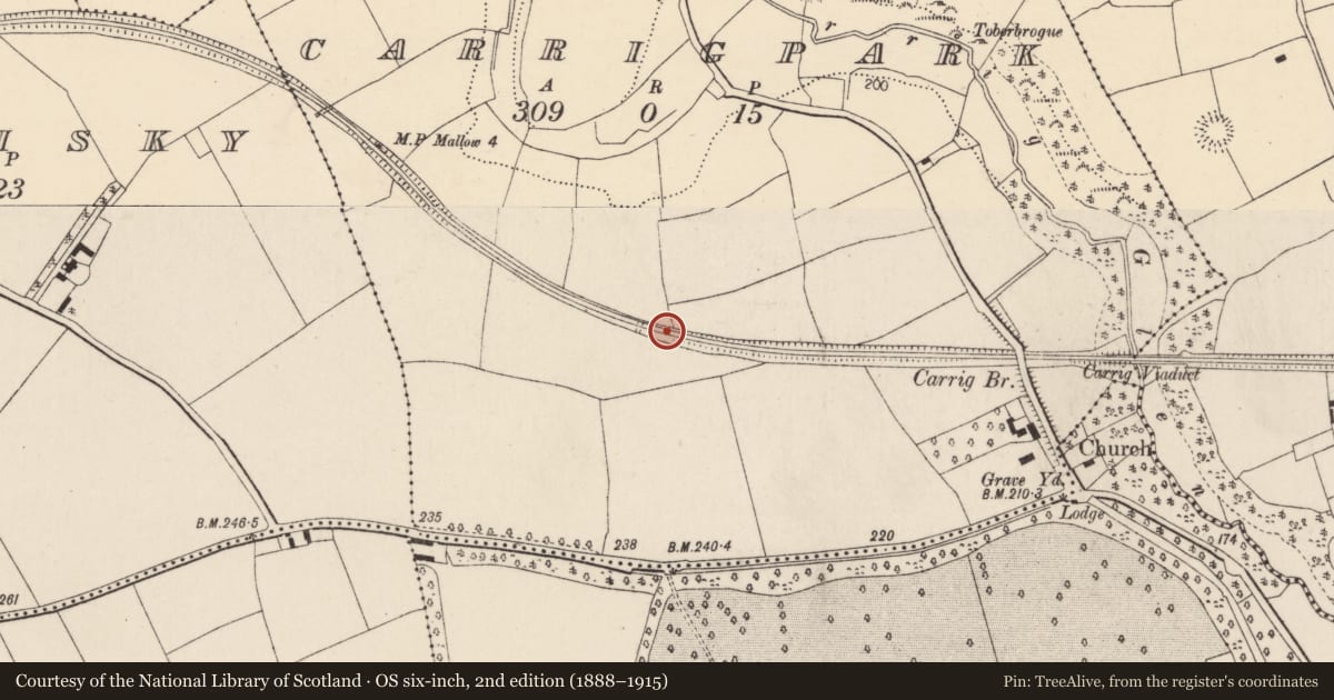 Ordnance Survey six-inch map, 2nd edition (1888–1915) covering the location of Ringfort - rath, Carrigpark, County Cork, with a pin at the register's coordinates
