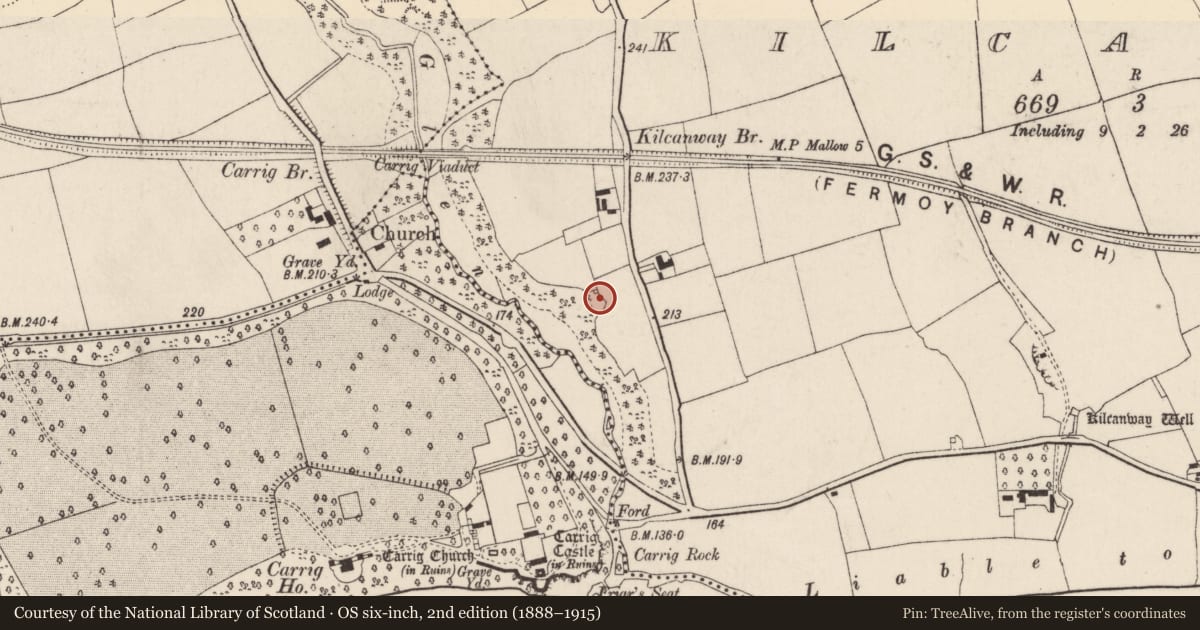 Ordnance Survey six-inch map, 2nd edition (1888–1915) covering the location of Kiln - lime, Kilcanway, County Cork, with a pin at the register's coordinates