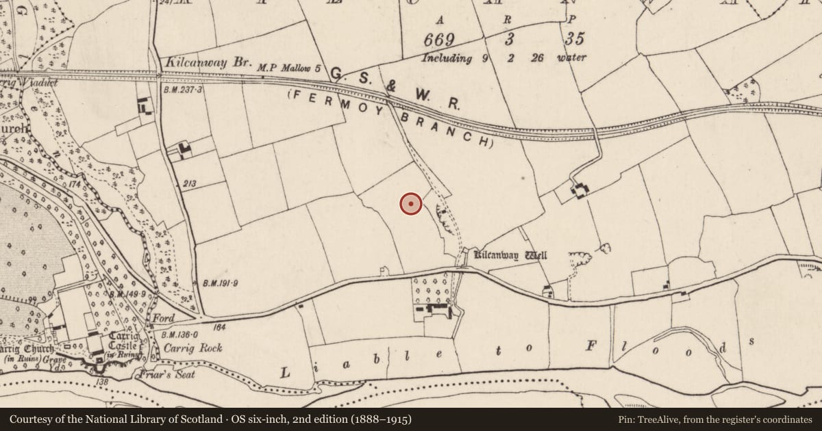 Ordnance Survey six-inch map, 2nd edition (1888–1915) covering the location of Burial ground, Kilcanway, County Cork, with a pin at the register's coordinates