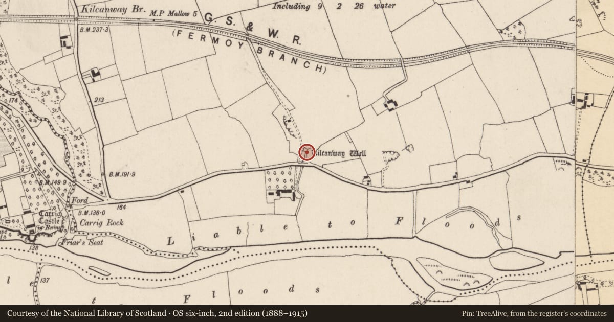 Ordnance Survey six-inch map, 2nd edition (1888–1915) covering the location of Ritual site - holy well, Kilcanway, County Cork, with a pin at the register's coordinates