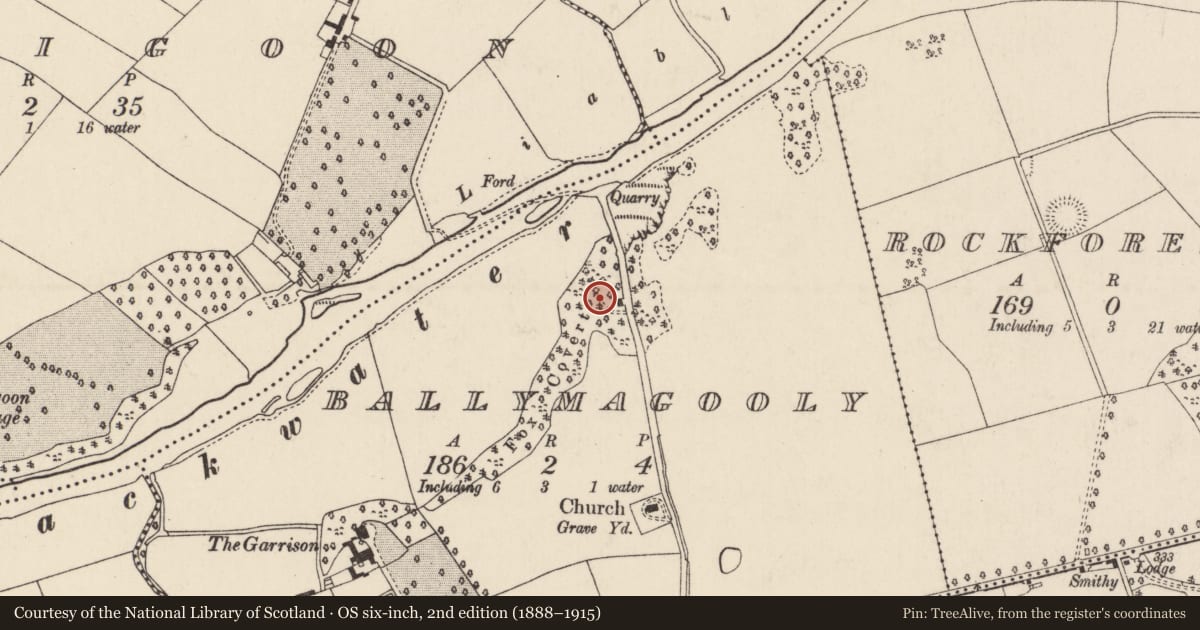 Ordnance Survey six-inch map, 2nd edition (1888–1915) covering the location of Kiln - lime, Ballymagooly, County Cork, with a pin at the register's coordinates