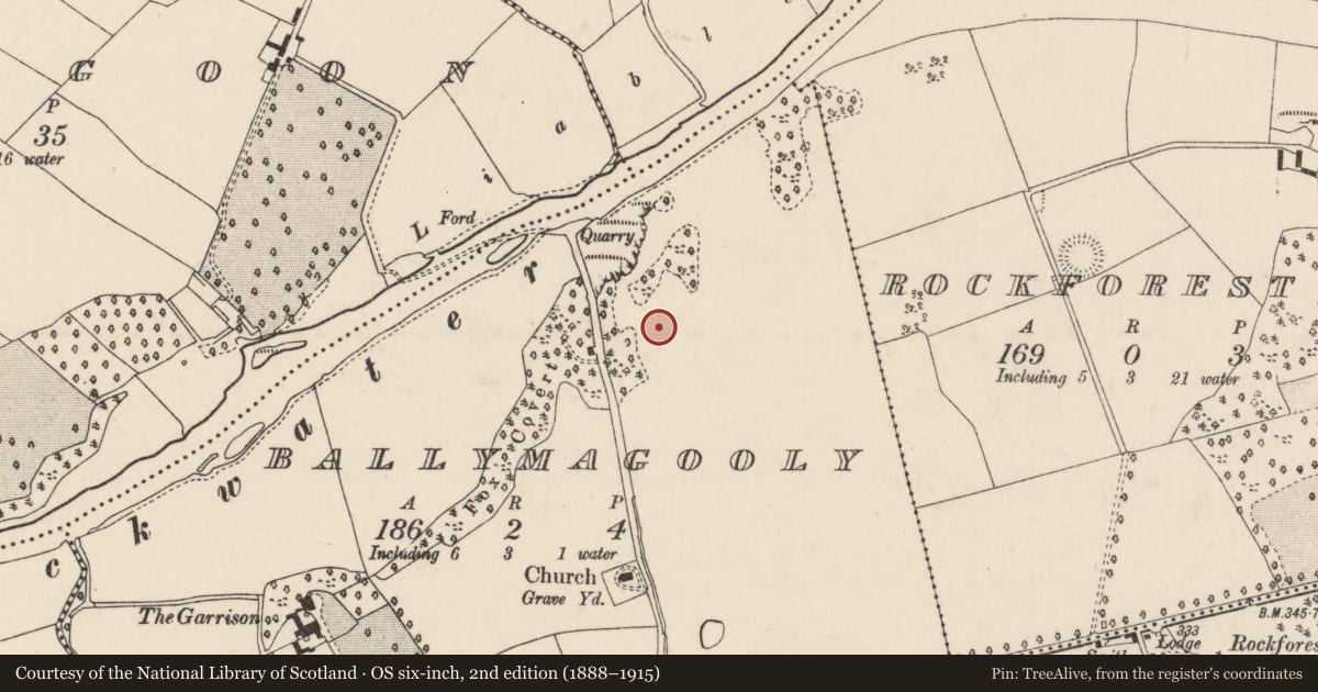 Ordnance Survey six-inch map, 2nd edition (1888–1915) covering the location of Earthwork, Ballymagooly, County Cork, with a pin at the register's coordinates