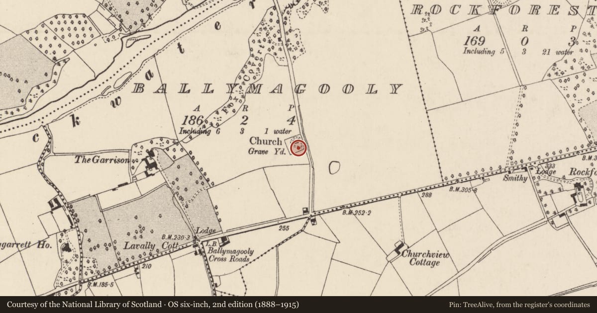 Ordnance Survey six-inch map, 2nd edition (1888–1915) covering the location of Graveyard, Ballymagooly, County Cork, with a pin at the register's coordinates