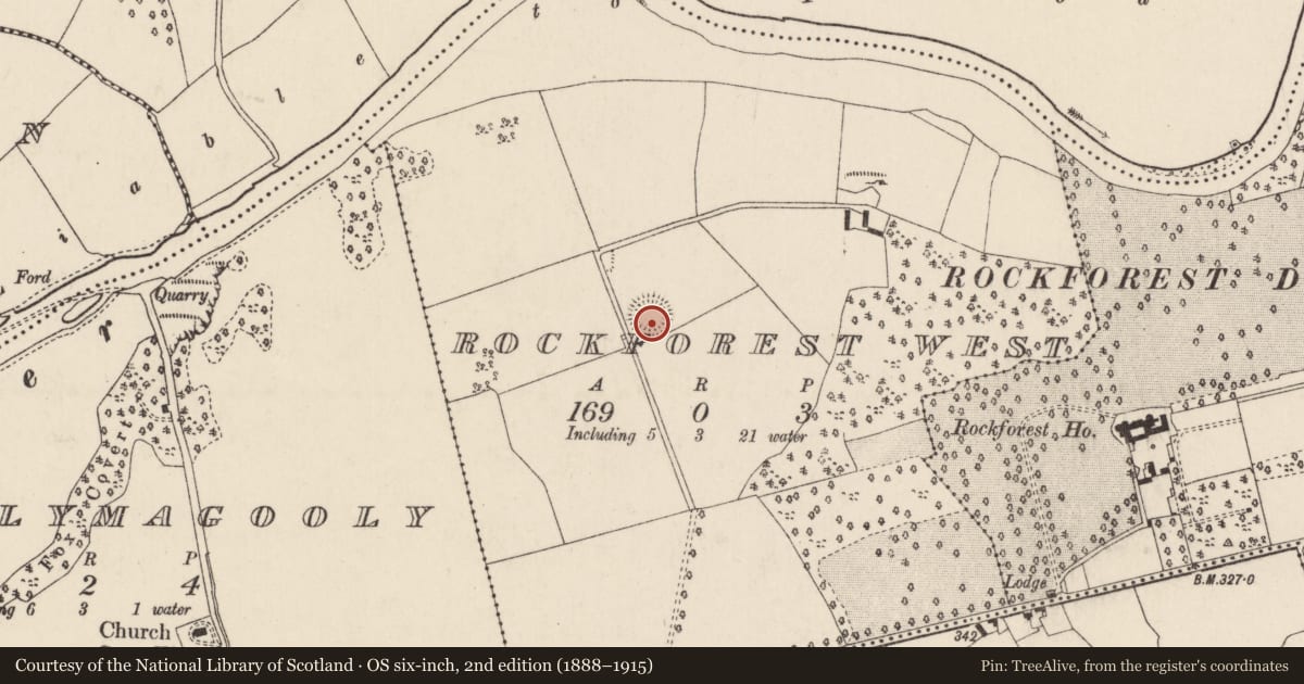 Ordnance Survey six-inch map, 2nd edition (1888–1915) covering the location of Ringfort - rath, Rockforest West, County Cork, with a pin at the register's coordinates