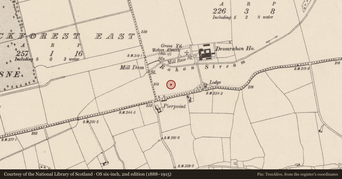 Ordnance Survey six-inch map, 2nd edition (1888–1915) covering the location of Ritual site - holy well, Dromrahan, County Cork, with a pin at the register's coordinates