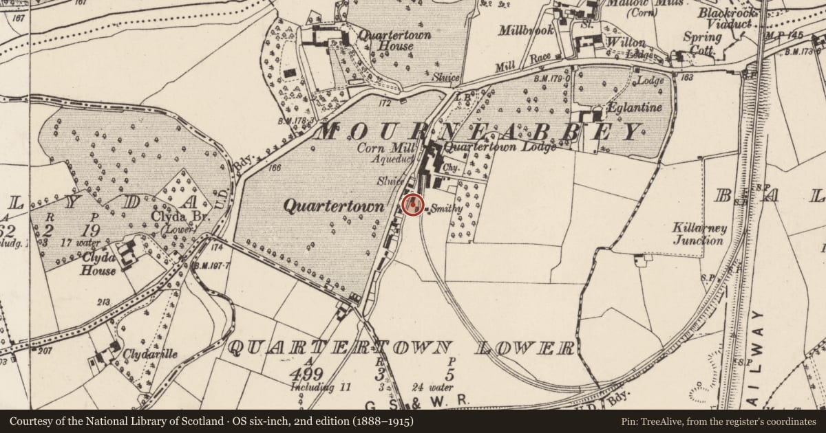 Ordnance Survey six-inch map, 2nd edition (1888–1915) covering the location of Milling complex, Quartertown Lower, County Cork, with a pin at the register's coordinates