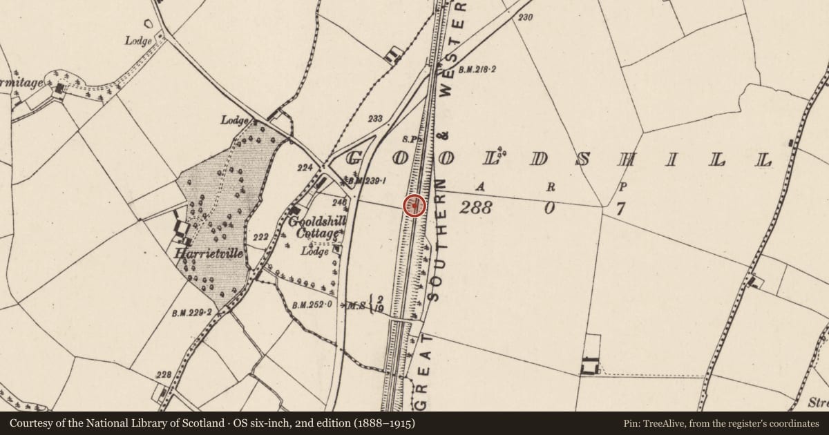 Ordnance Survey six-inch map, 2nd edition (1888–1915) covering the location of Designed landscape - tree-ring, Gooldshill, County Cork, with a pin at the register's coordinates