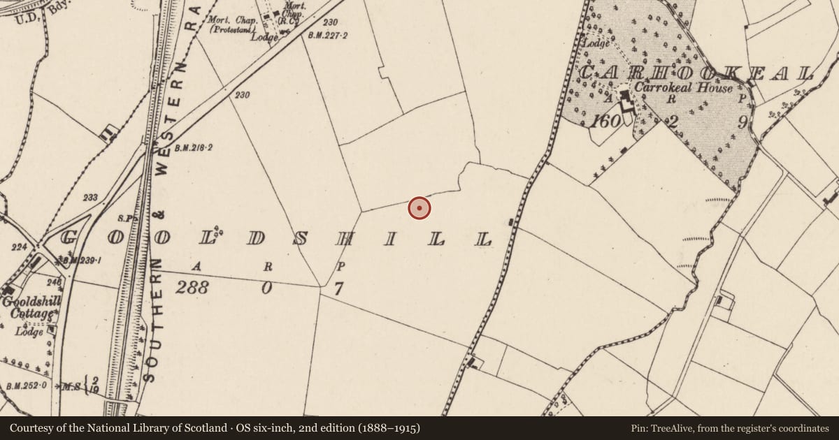 Ordnance Survey six-inch map, 2nd edition (1888–1915) covering the location of Enclosure, Gooldshill, County Cork, with a pin at the register's coordinates