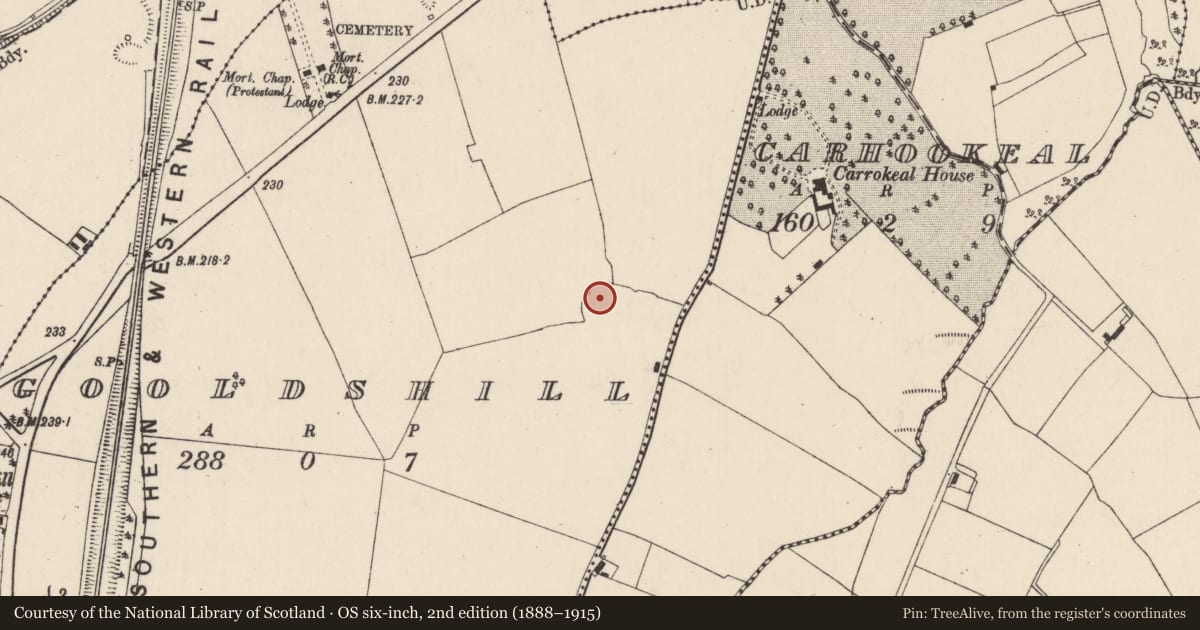 Ordnance Survey six-inch map, 2nd edition (1888–1915) covering the location of Moated site, Gooldshill, County Cork, with a pin at the register's coordinates