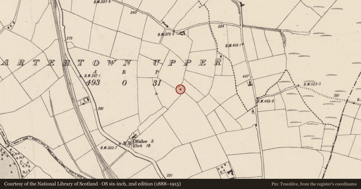 Ordnance Survey six-inch map, 2nd edition (1888–1915) covering the location of Ringfort - rath, Quartertown Upper, County Cork, with a pin at the register's coordinates