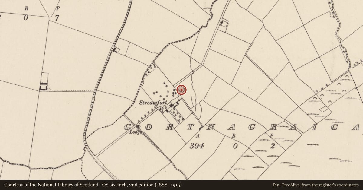 Ordnance Survey six-inch map, 2nd edition (1888–1915) covering the location of Ringfort - rath, Gortnagraiga, County Cork, with a pin at the register's coordinates