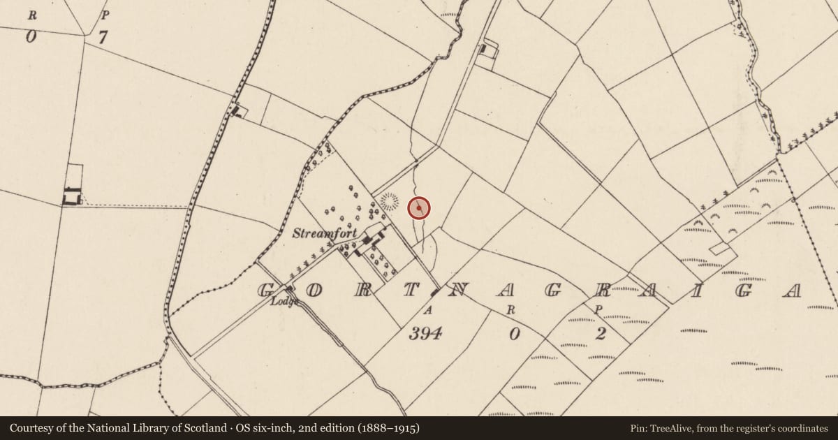 Ordnance Survey six-inch map, 2nd edition (1888–1915) covering the location of Fulacht fia, Gortnagraiga, County Cork, with a pin at the register's coordinates