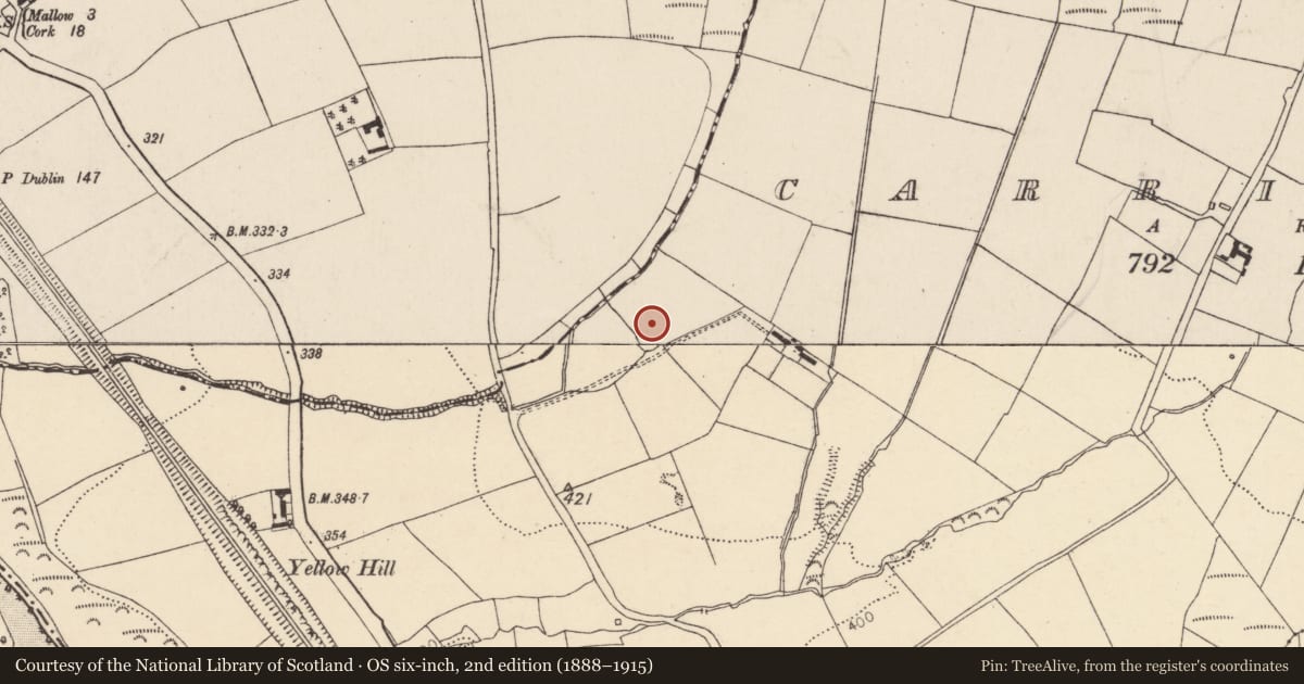 Ordnance Survey six-inch map, 2nd edition (1888–1915) covering the location of Ringfort - rath, Carrigduff, County Cork, with a pin at the register's coordinates