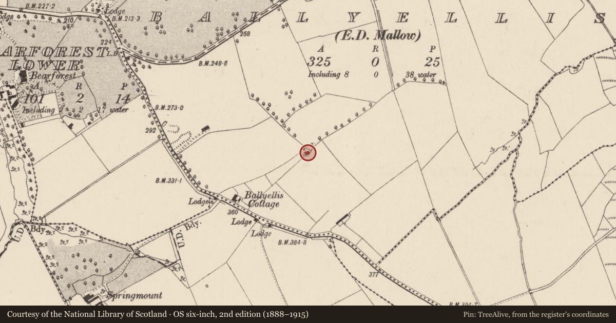 Ordnance Survey six-inch map, 2nd edition (1888–1915) covering the location of Ringfort - rath, Ballyellis (Fermoy By., Mallow Par.), County Cork, with a pin at the register's coordinates