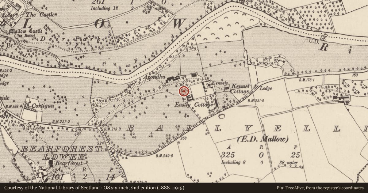 Ordnance Survey six-inch map, 2nd edition (1888–1915) covering the location of Designed landscape - tree-ring, Ballyellis (Fermoy By., Mallow Par.), County Cork, with a pin at the register's coordinates
