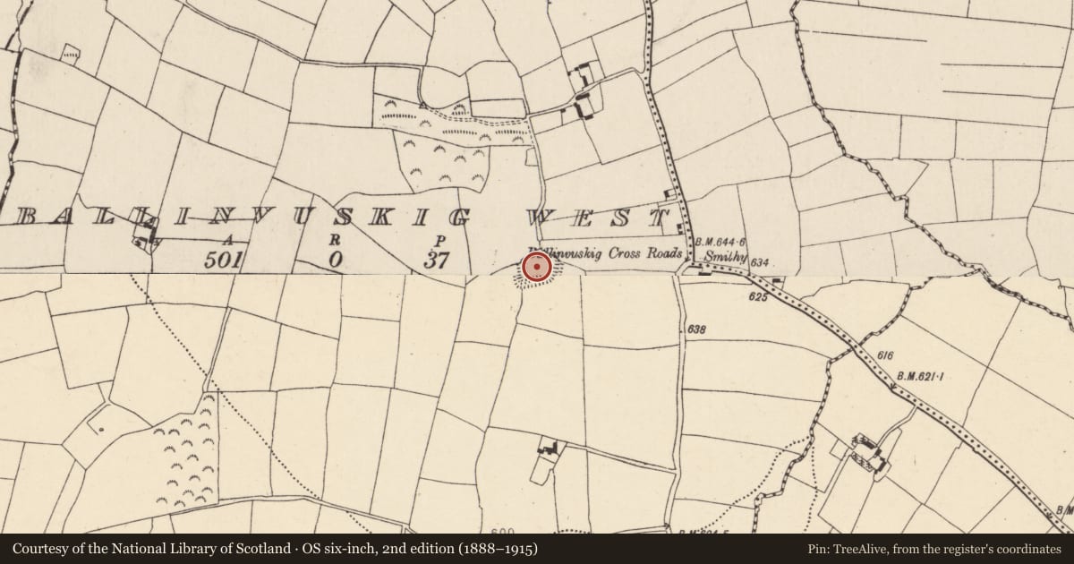 Ordnance Survey six-inch map, 2nd edition (1888–1915) covering the location of Enclosure, Ballinvuskig West, County Cork, with a pin at the register's coordinates