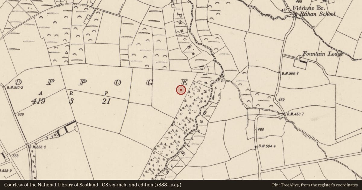 Ordnance Survey six-inch map, 2nd edition (1888–1915) covering the location of Burial, Knoppoge, County Cork, with a pin at the register's coordinates