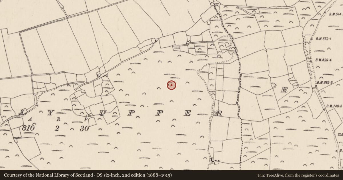 Ordnance Survey six-inch map, 2nd edition (1888–1915) covering the location of Enclosure, Lavally Upper, County Cork, with a pin at the register's coordinates