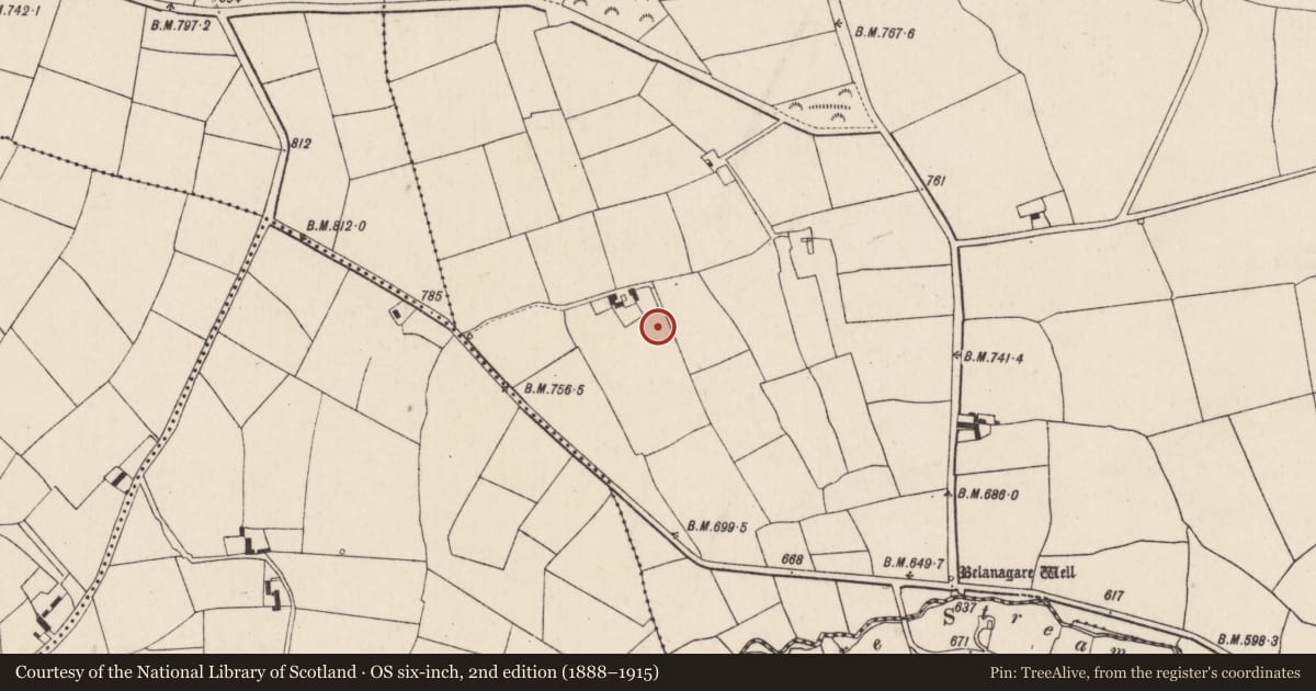 Ordnance Survey six-inch map, 2nd edition (1888–1915) covering the location of Standing stone, Rahan, County Cork, with a pin at the register's coordinates
