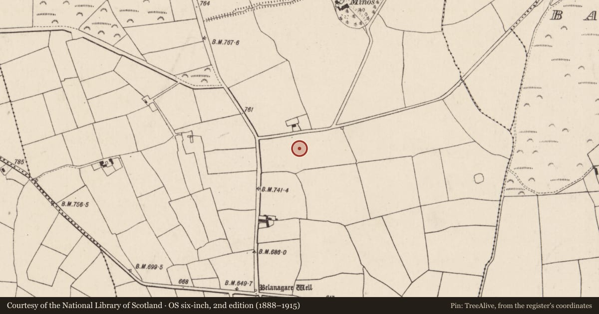 Ordnance Survey six-inch map, 2nd edition (1888–1915) covering the location of Standing stone, Rahan, County Cork, with a pin at the register's coordinates