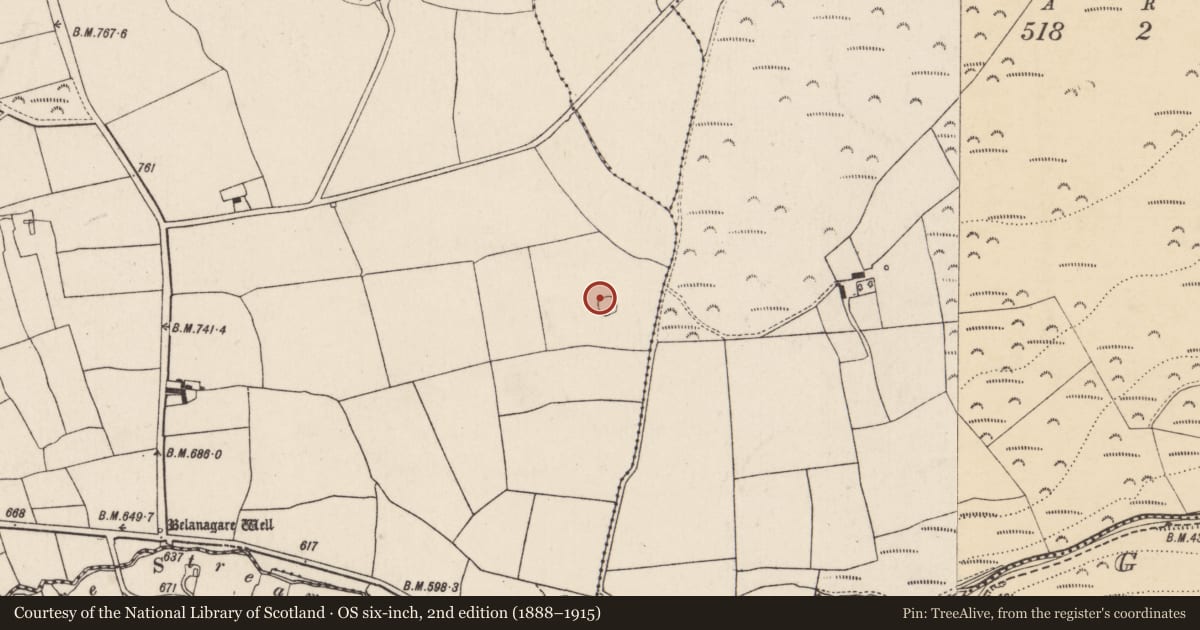 Ordnance Survey six-inch map, 2nd edition (1888–1915) covering the location of Enclosure, Rahan, County Cork, with a pin at the register's coordinates