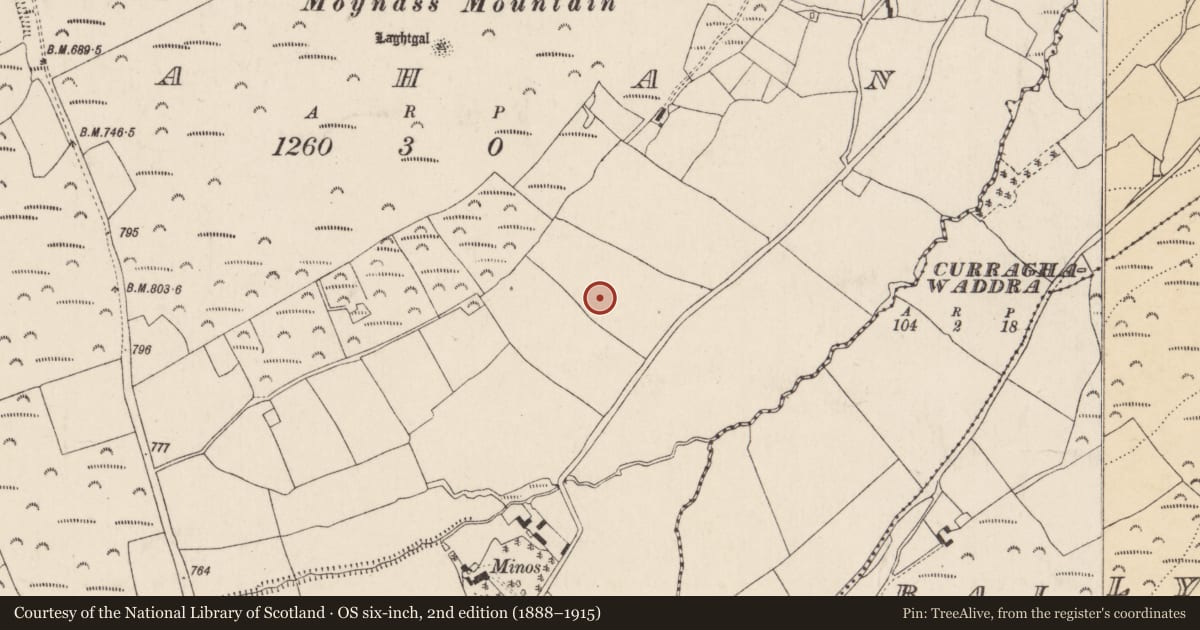 Ordnance Survey six-inch map, 2nd edition (1888–1915) covering the location of Ringfort - rath, Rahan, County Cork, with a pin at the register's coordinates