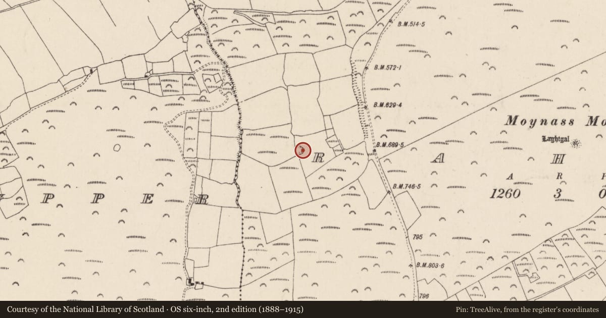 Ordnance Survey six-inch map, 2nd edition (1888–1915) covering the location of Ringfort - rath, Rahan, County Cork, with a pin at the register's coordinates