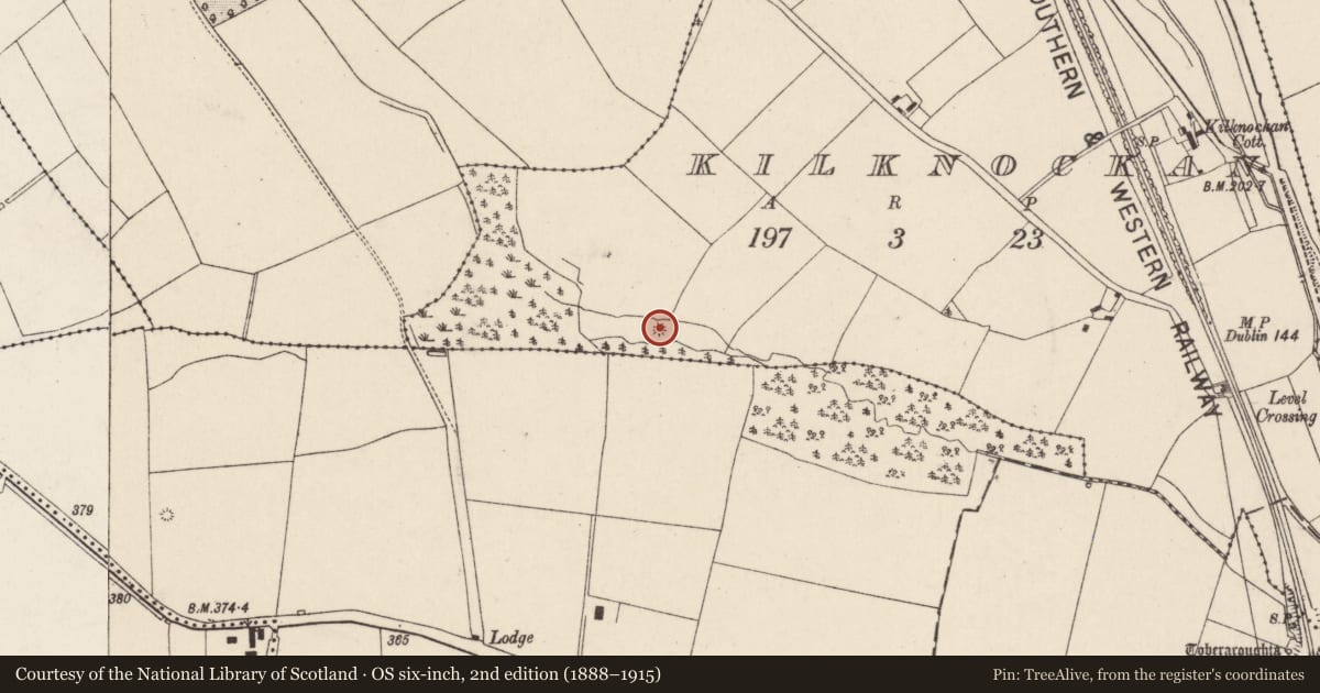 Ordnance Survey six-inch map, 2nd edition (1888–1915) covering the location of Fulacht fia, Kilknockan, County Cork, with a pin at the register's coordinates