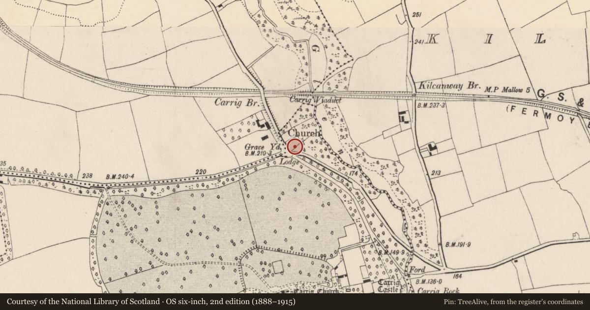 Ordnance Survey six-inch map, 2nd edition (1888–1915) covering the location of Graveyard, Carrigpark, County Cork, with a pin at the register's coordinates