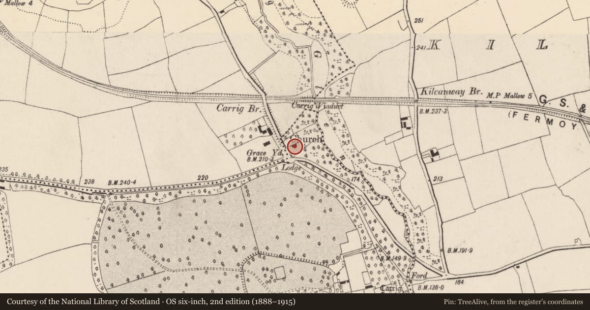 Ordnance Survey six-inch map, 2nd edition (1888–1915) covering the location of Church, Carrigpark, County Cork, with a pin at the register's coordinates