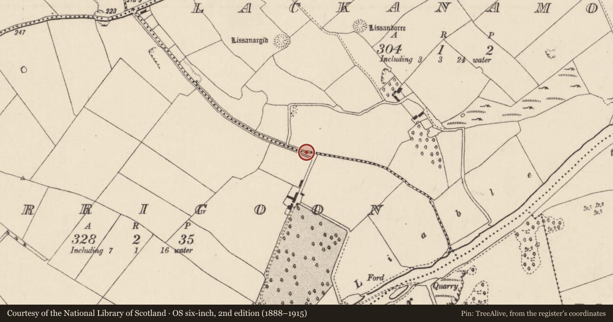 Ordnance Survey six-inch map, 2nd edition (1888–1915) covering the location of Fulacht fia, Lackanamona, County Cork, with a pin at the register's coordinates