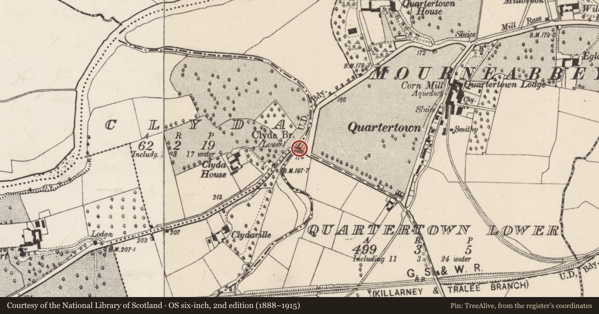 Ordnance Survey six-inch map, 2nd edition (1888–1915) covering the location of Bridge, Clyda, Quartertown Lower, County Cork, with a pin at the register's coordinates