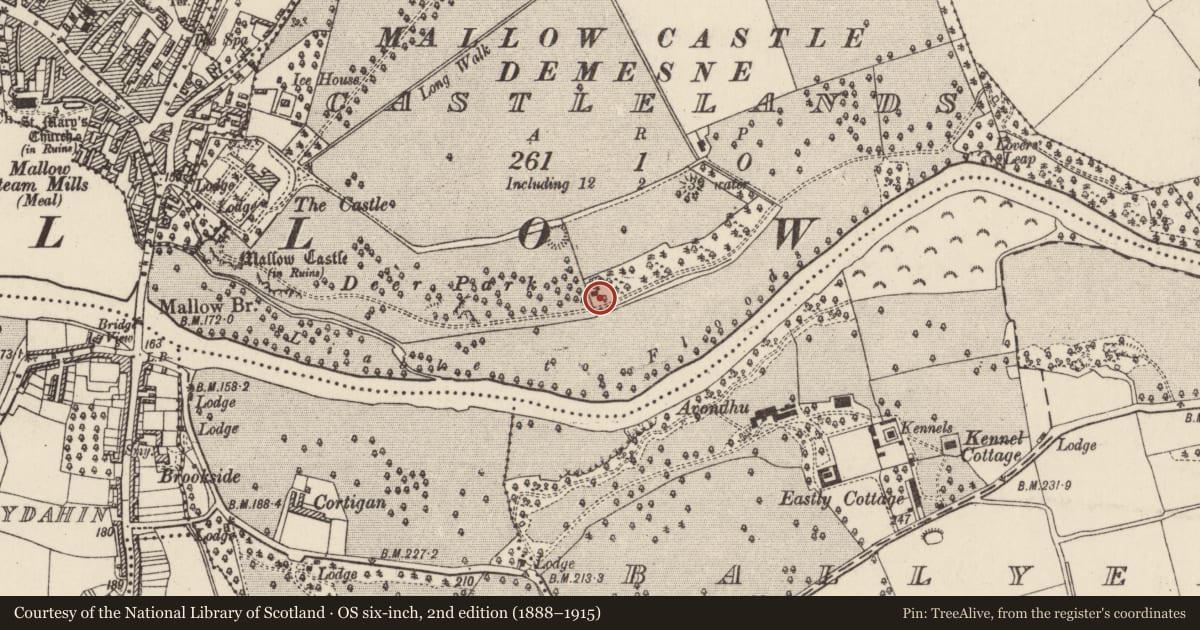 Ordnance Survey six-inch map, 2nd edition (1888–1915) covering the location of Kiln - lime, Castlelands, County Cork, with a pin at the register's coordinates