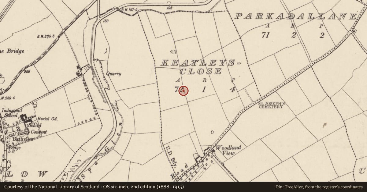 Ordnance Survey six-inch map, 2nd edition (1888–1915) covering the location of Enclosure, Keatleysclose, County Cork, with a pin at the register's coordinates