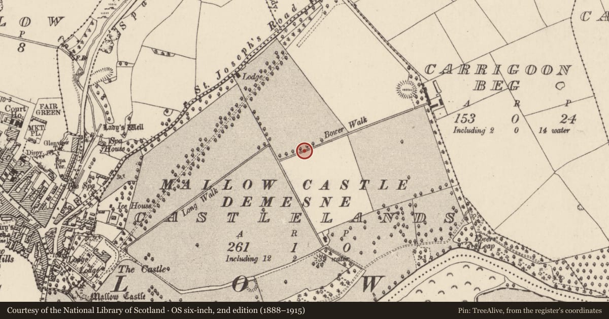 Ordnance Survey six-inch map, 2nd edition (1888–1915) covering the location of Fulacht fia, Castlelands, County Cork, with a pin at the register's coordinates