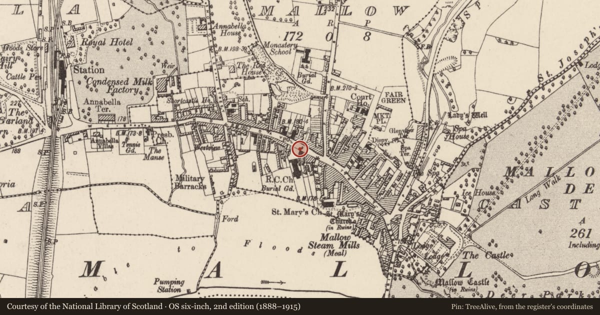 Ordnance Survey six-inch map, 2nd edition (1888–1915) covering the location of Historic town, Mallow, County Cork, with a pin at the register's coordinates